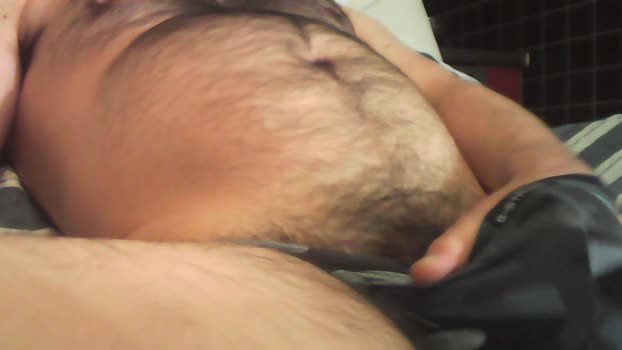 FatBearA 03-01-2026 Recorded Video bigtoys
