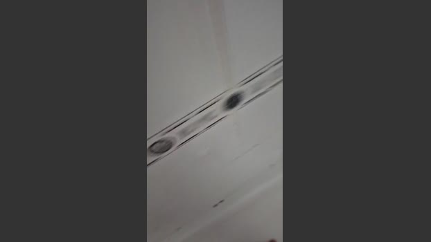Josecal1570 02-01-2026 Recorded Video bigtoys