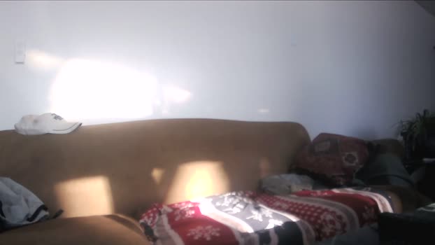 Kinky_canuck1 02-01-2026 Recorded Video jerkoff