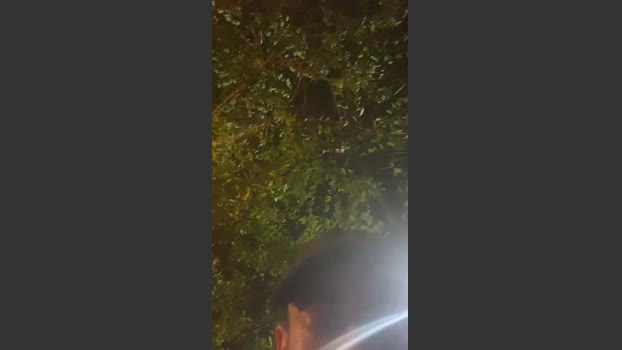 Matheus000007 03-01-2026 Recorded Video beautiful