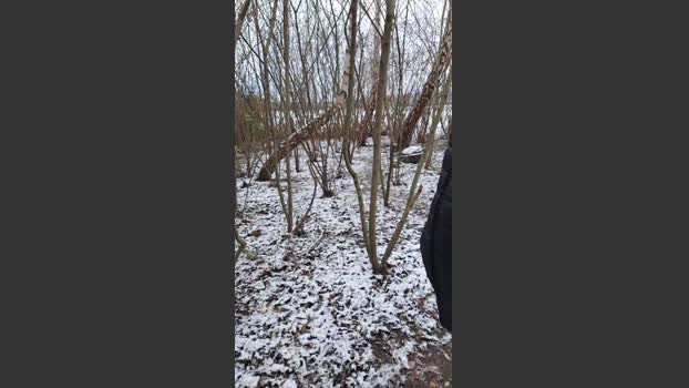 Socke72 03-01-2026 Recorded Video Video