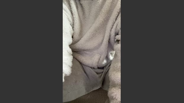 Twentytwo95 03-01-2026 Recorded Video jackoff