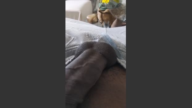 jhon2788 03-01-2026 Recorded Video natural