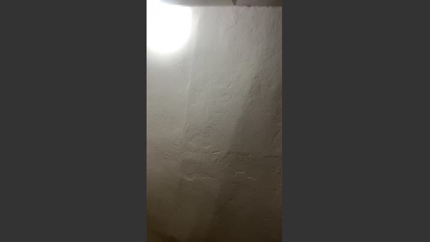 sx123x 02-01-2026 Recorded Video fuckhard