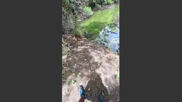Bozzolli 03-01-2026 Recorded Video hardcock