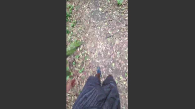 Bozzolli 03-01-2026 Recorded Video big