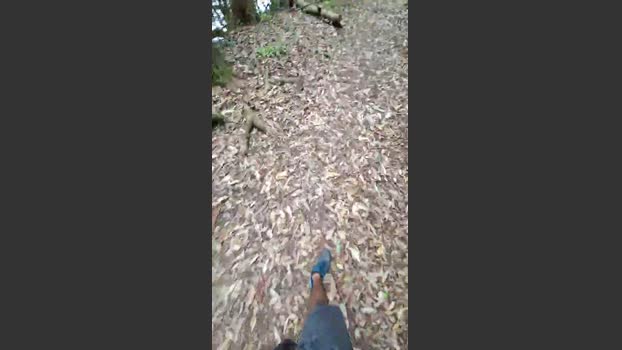 Bozzolli 03-01-2026 Recorded Video handsome