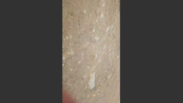Chicoo20155 04-01-2026 Recorded Video Recorded