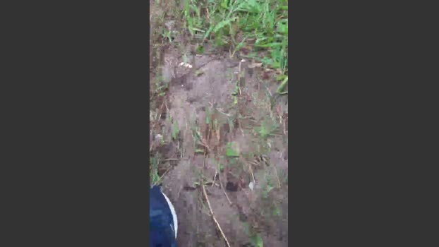 Daddy_capixaba 04-01-2026 Recorded Video wank