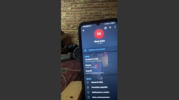 Err653 03-01-2026 Recorded Video Pretty