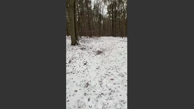 thatspavel2 04-01-2026 Recorded Video beautiful