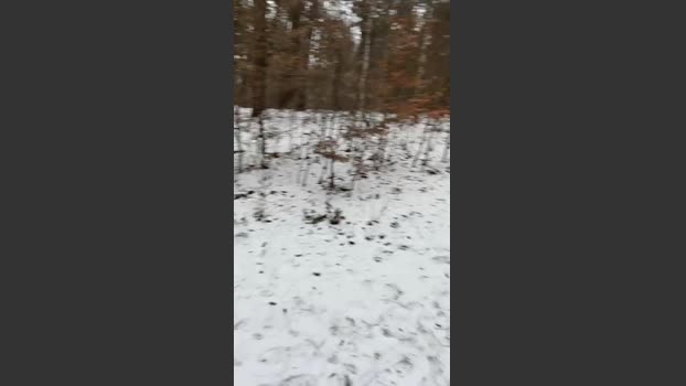 thatspavel2 04-01-2026 Recorded Video harddick