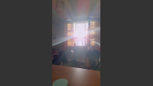 Chavbear 05-01-2026 Recorded Video bigcock