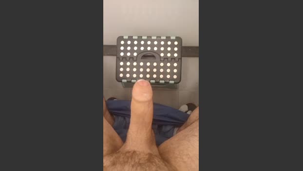 gtantn024 05-01-2026 Recorded Video bigtoys