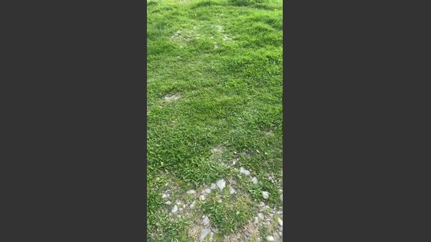 tantavoglia41 05-01-2026 Recorded Video beautiful