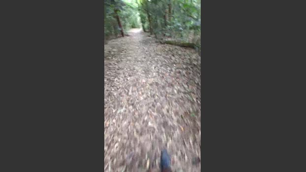 Bozzolli 05-01-2026 Recorded Video squirt