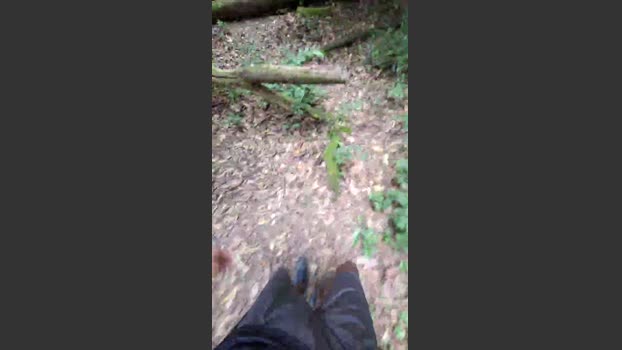 Bozzolli 05-01-2026 Recorded Video kink