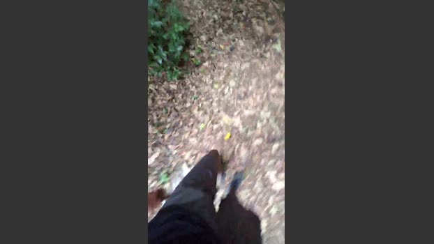 Bozzolli 05-01-2026 Recorded Video big