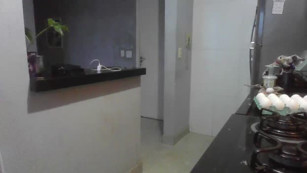 CARAMANEIRO 06-01-2026 Recorded Video hardcock