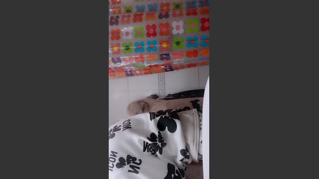 Pollon2jjj52 06-01-2026 Recorded Video suck