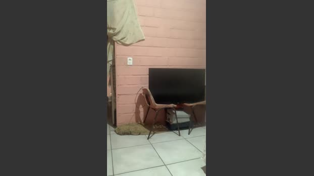 brunootz 07-01-2026 Recorded Video sweet