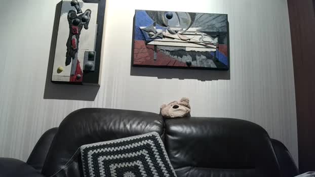 ron502 06-01-2026 Recorded Video strip