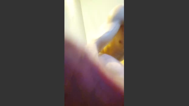 Olyhere 08-01-2026 Recorded Video lush