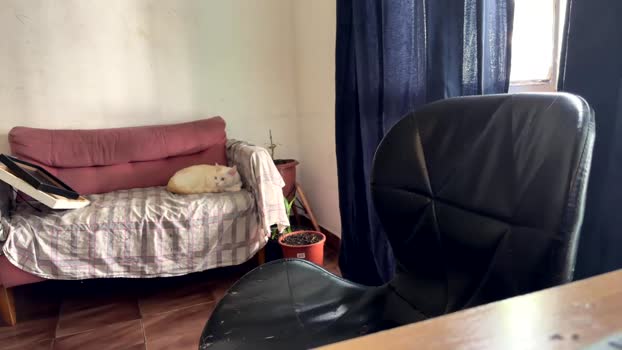 gerson229 07-01-2026 Recorded Video suck