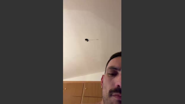 rafabr91 08-01-2026 Recorded Video blowjob