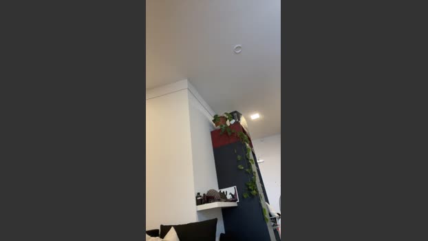 Bartxmxm 09-01-2026 Recorded Video sexykitty