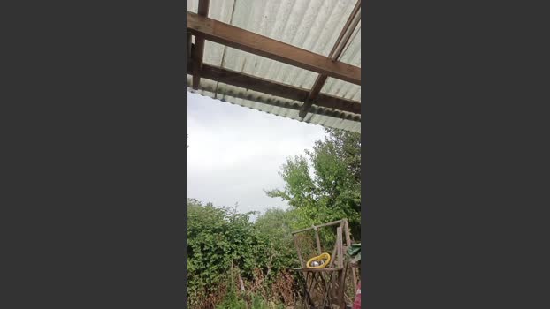 Mrmcfly1 08-01-2026 Recorded Video beautiful