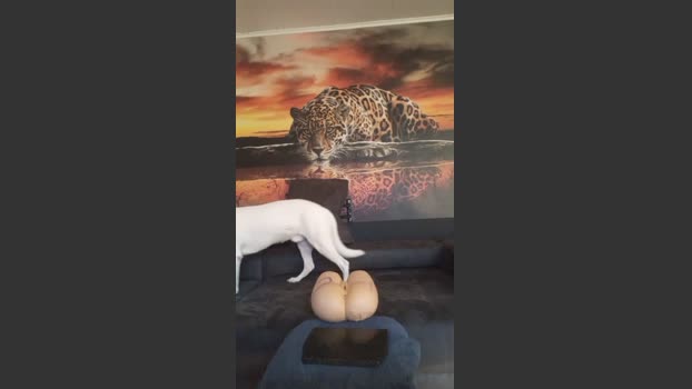Patrick50226 09-01-2026 Recorded Video legs