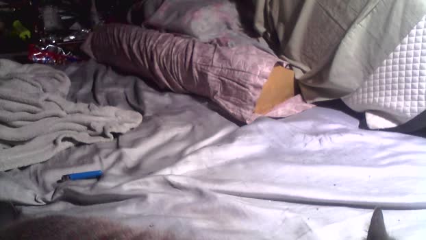 destello401 09-01-2026 Recorded Video squirt