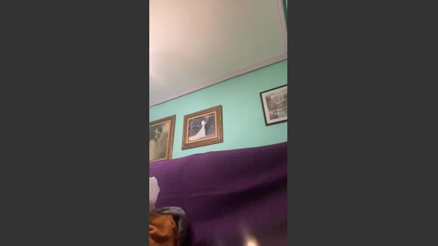 frantri00 08-01-2026 Recorded Video toys