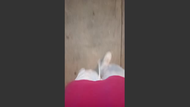hardsexlove08 09-01-2026 Recorded Video sexykitty