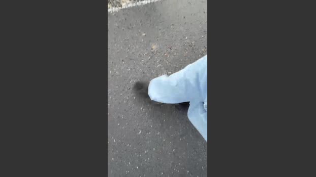 thatspavel2 10-01-2026 Recorded Video deep