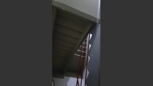 LekDotado33 11-01-2026 Recorded Video bigtoys