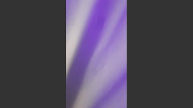 RAUL2T9 11-01-2026 Recorded Video big