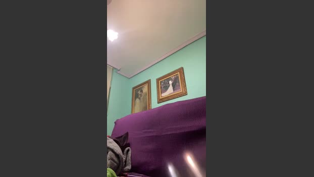 frantri00 11-01-2026 Recorded Video analtoy
