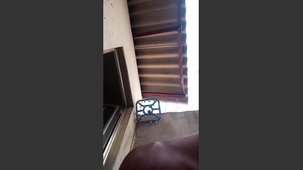 leonardobrasil3 11-01-2026 Recorded Video fuck
