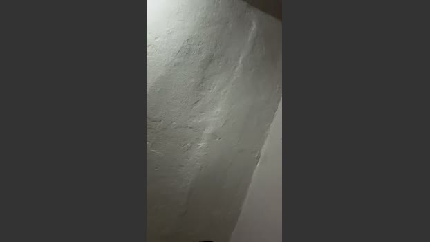 sx123x 11-01-2026 Recorded Video toys
