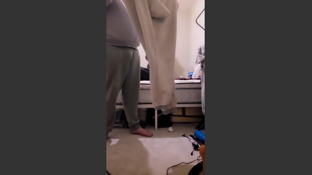 Chavbear 12-01-2026 Recorded Video natural