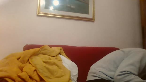 DmtrijD 12-01-2026 Recorded Video bigballs