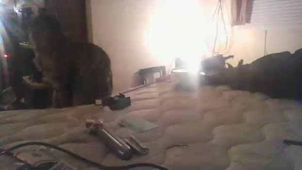 Littleguy25 12-01-2026 Recorded Video Show