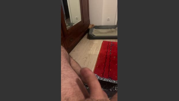 arax30 12-01-2026 Recorded Video toys