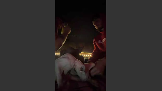 diversing_fun 11-01-2026 Recorded Video deep