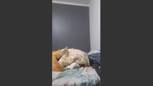masterhight 12-01-2026 Recorded Video toy