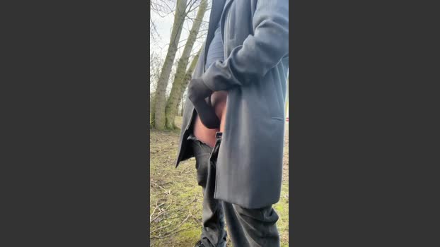Aaqqzzsseedd 13-01-2026 Recorded Video big