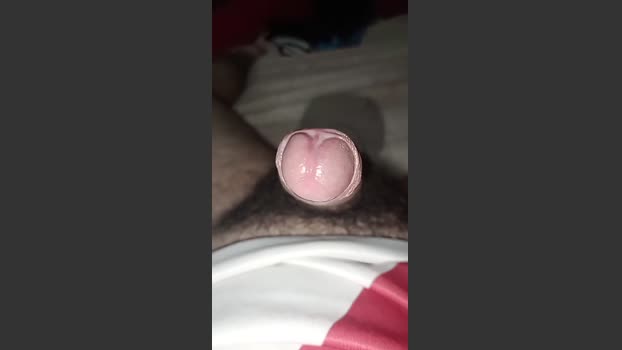 Ariel5226 13-01-2026 Recorded Video suckcock