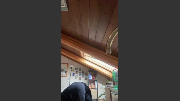 XBEAR001 13-01-2026 Recorded Video kiss
